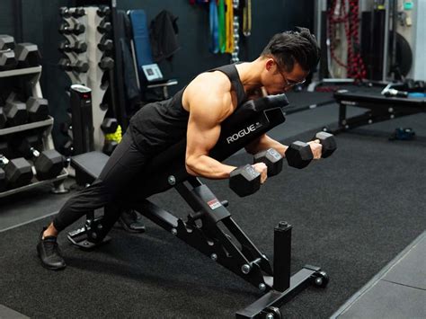 Bicep WorkoutSpider Curl (Dumbbells) • lie facing forward on an incline bench. Grab a pair of dumbbells & angle your elbow outward & in front of your torso. ...